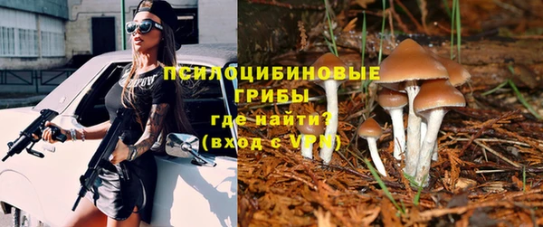 спайс Горно-Алтайск
