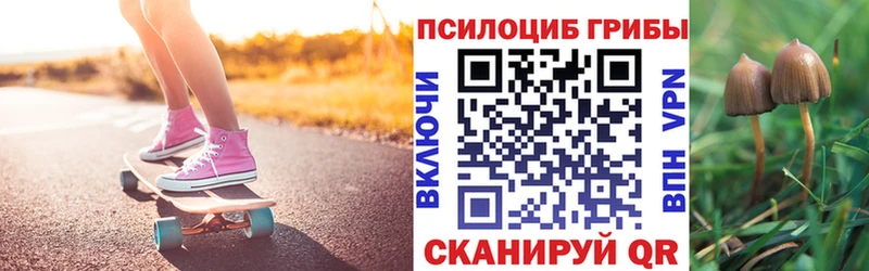 Купить  Нерехта  Псилоцибиновые грибы мицелий 